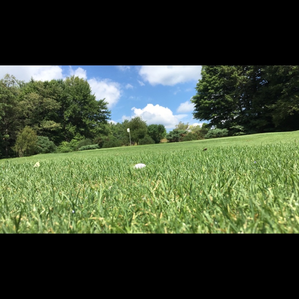 Meet your Posher, Jason